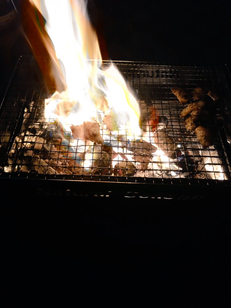 Jhankrood's tweet photo. 息子のお食い初めも無事に終わったので、嫁さんと二人で庭先でホルモン焼きました https://t.co/5fHpKBUSqf