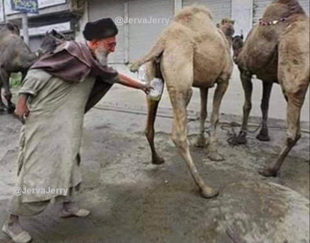 JervaJerry's tweet photo. @Muriiuu تو برو شاش شتر بخور، تازی‌زاده! https://t.co/zsTQCiTyF4