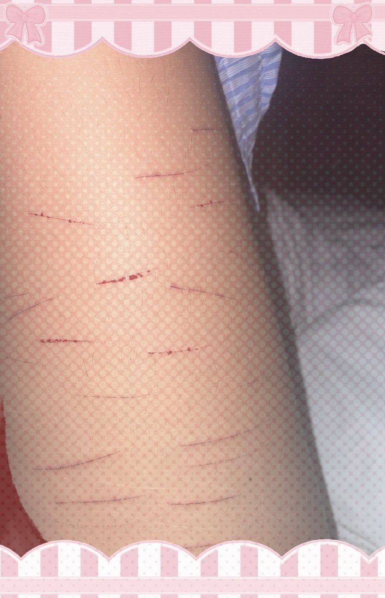 Strarehh's tweet photo. I added like five more cuts last night https://t.co/T7a8ImdJAC