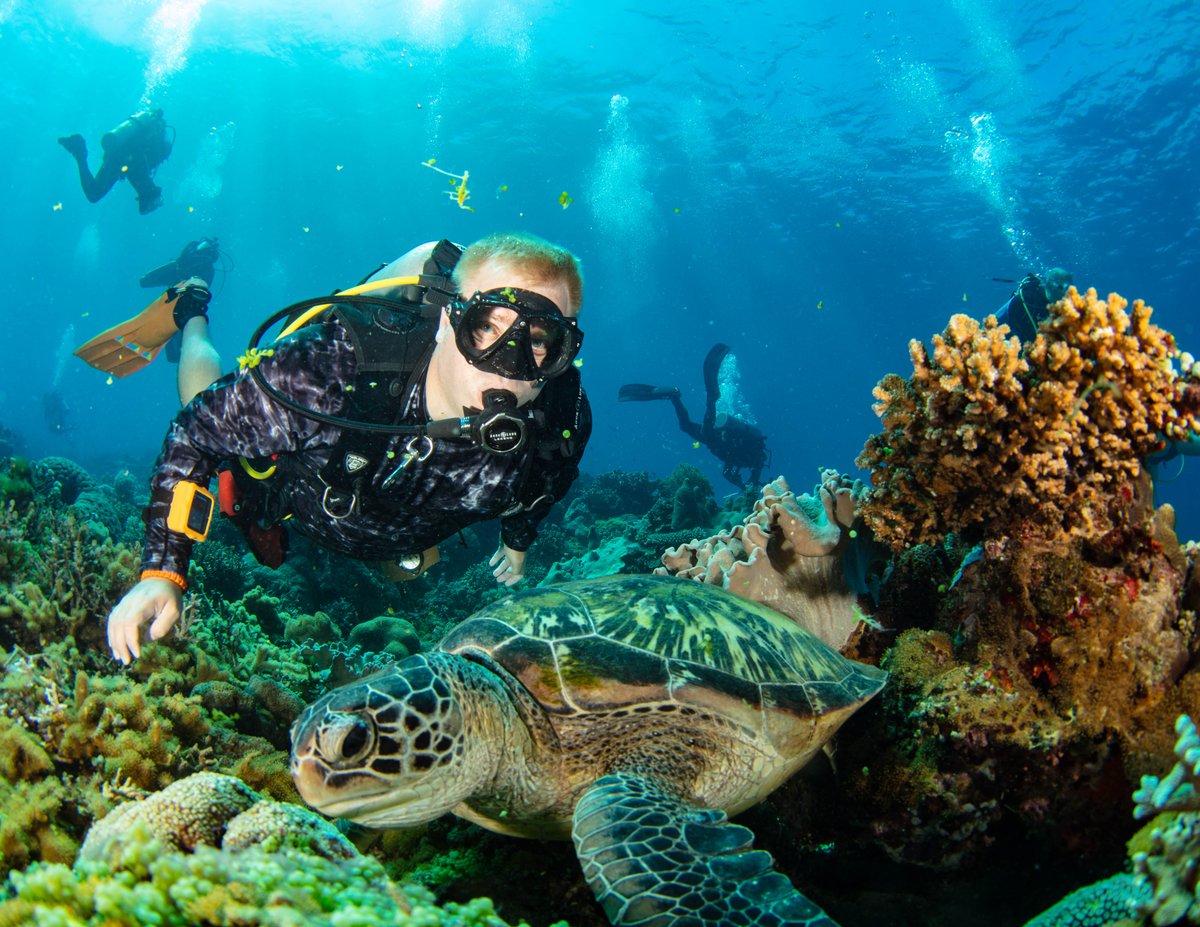 SoMdDivers's tweet photo. 🇵🇭 Philippines 2028 is officially open!

🏝️ Atlantis Dumaguete
🚢 Atlantis Azores
🤿 Up to 50+ dives
🐠 Unlimited Nitrox
🌊 Tubbataha

Join us for our third Philippines adventure!

🔗 https://t.co/YzFUx7RT1J https://t.co/kcYHrbk5gy