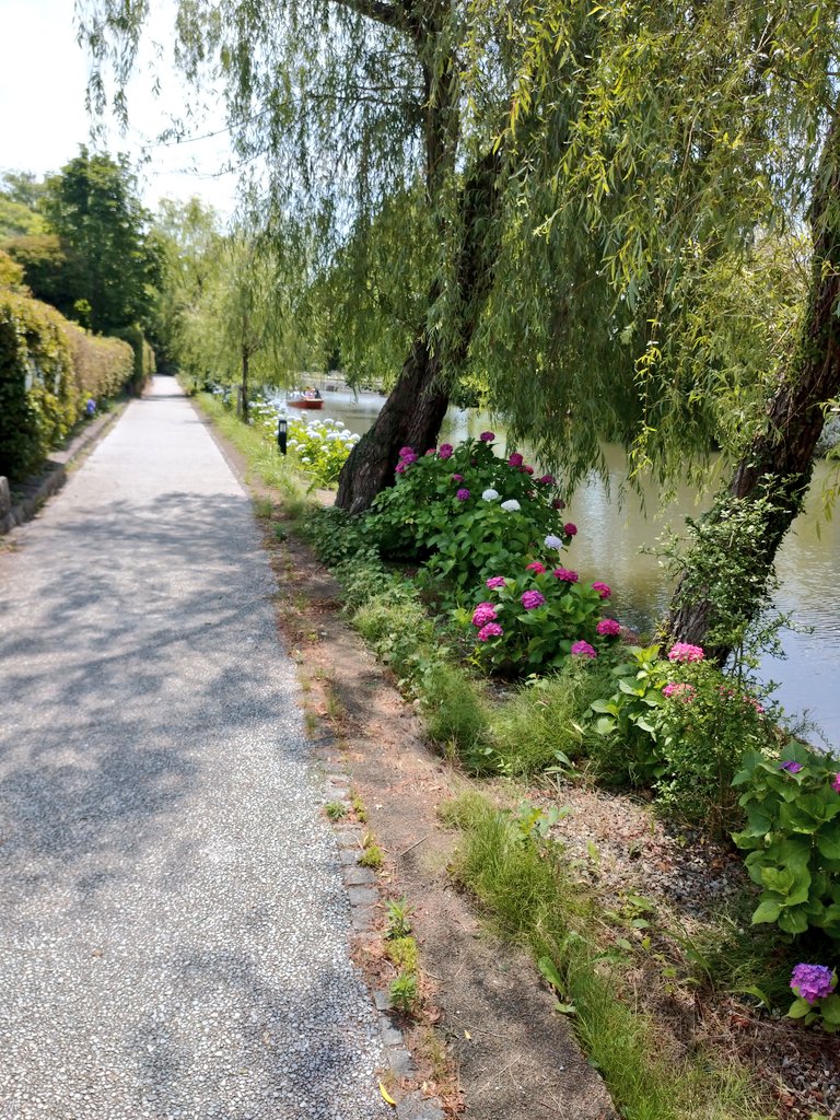 hiro_3L's tweet photo. やわうどんに柳川に紫陽花に長浜家←
このおいしいもんは女の子にはハードル高しw https://t.co/H3Yq92bJVH