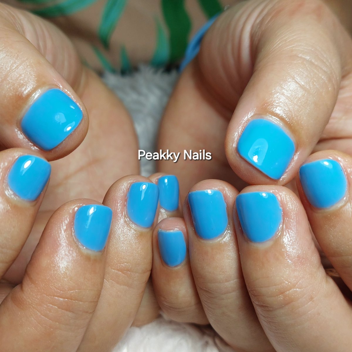peakkynails's tweet photo. #peakkynails #พีคกี้เนล
โทรสอบถาม 0834488000
หรือแอดไลน์ ไอดี brilynstore
ร้านอยู่ที่ #จตุจักรมีนบุรี 
#ร้านทำเล็บมีนบุรี  #ร้านทำเล็บ #ทำเล็บ #เพ้นท์เล็บ #ต่อเล็บ 
#เล็บเจล #ร้านทำเล็บจตุจักรมีนบุรี
#ลิฟติ้งขนตา #nails #เล็บเจลสวยๆ #แว๊กซ์กำจัดขน #wax #ลิฟติ้ง #ต่อขนตา #lifting https://t.co/L2e1btLJ55