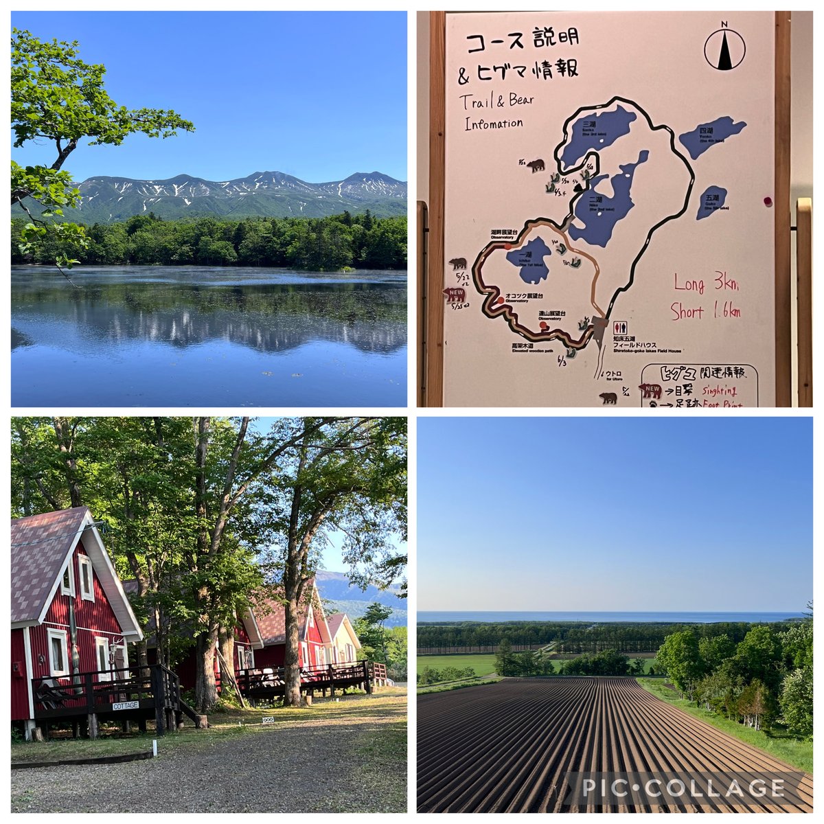 backofmonalisa's tweet photo. 北海道に来ています😆
今回は知床メイン！

今日は羅臼で野生のシャチを
見に行きました〜 https://t.co/jXPoEUYQJ2