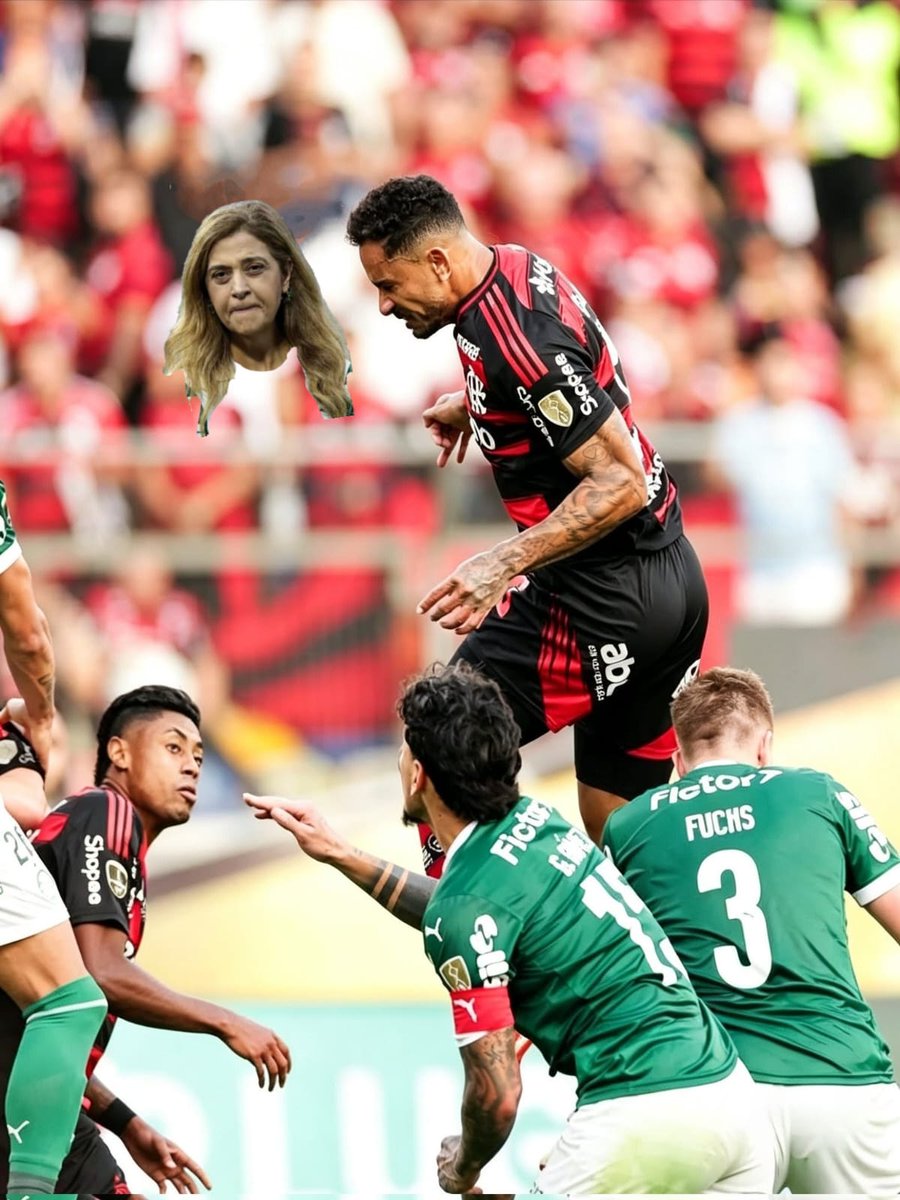 AleGomesFla's tweet photo. @Flamengo https://t.co/t84ka9BSVZ