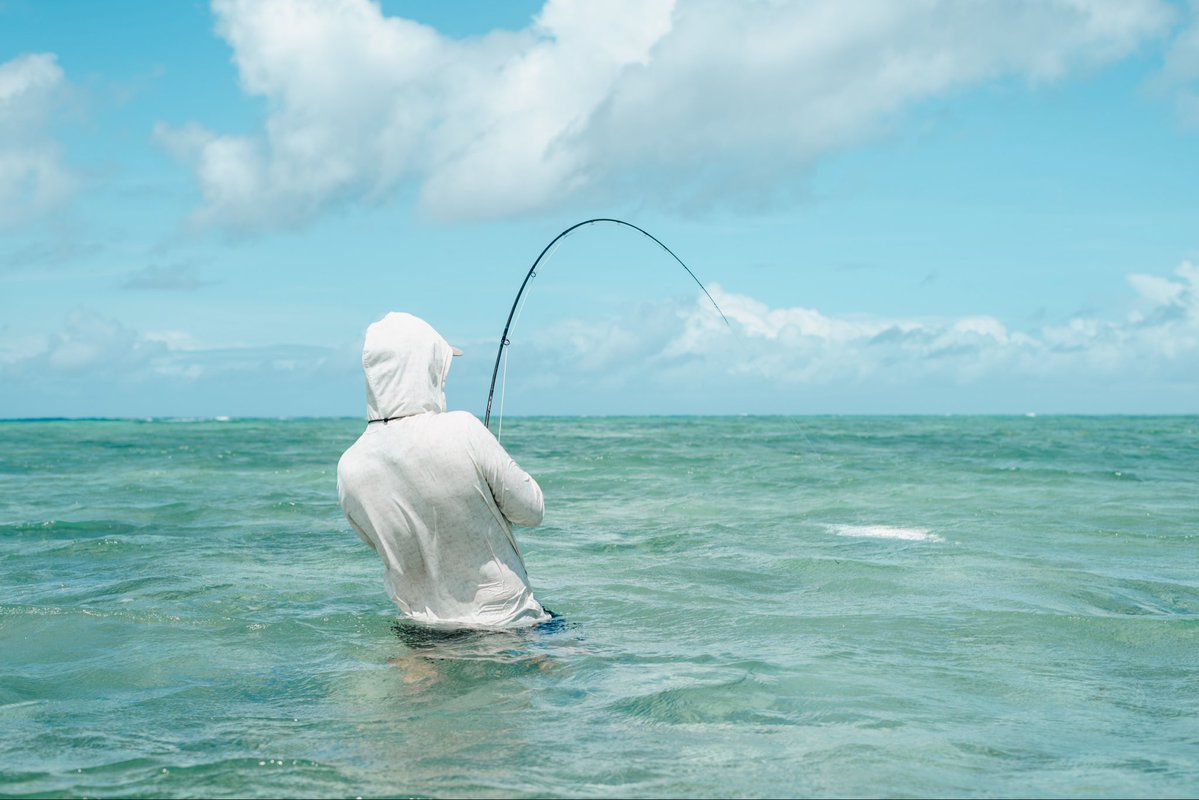 scottflyrod's tweet photo. Get out there and get after it this weekend!
Ph: Jeff Forsee / Aotearoa Anglers
#flyfishing #flyfish #scottflyrods #manictackleproject https://t.co/IwswKYgrgF