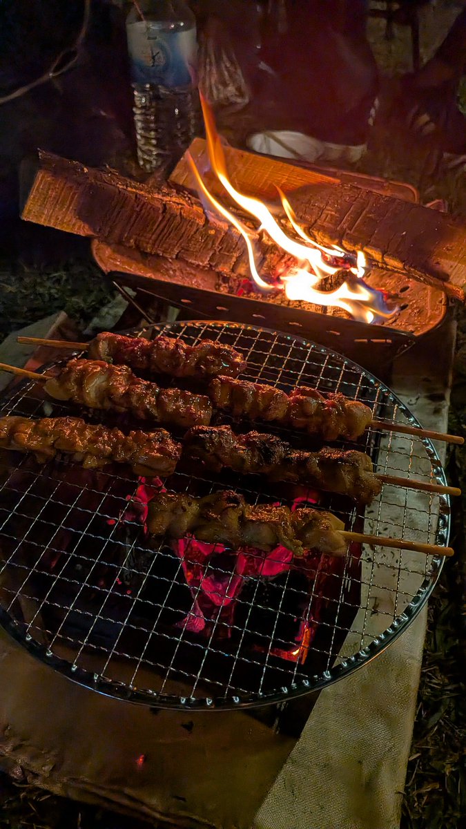 tk4_21's tweet photo. 控えめに最高すぎる https://t.co/030I2F3agM