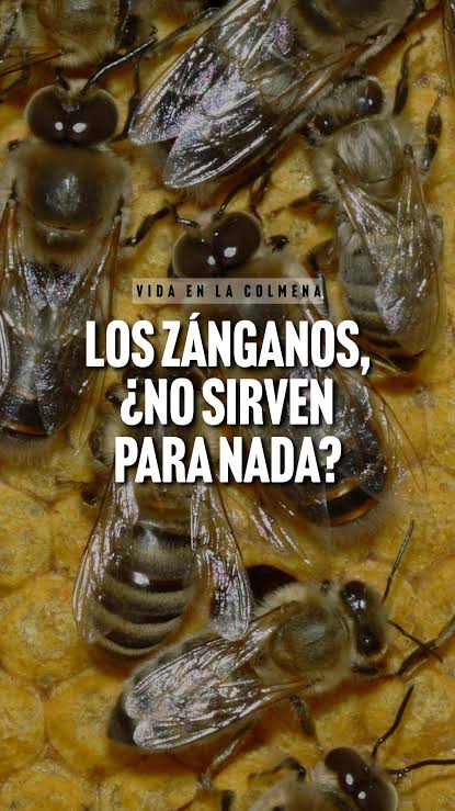 knnabko's tweet photo. @AndreaChavezTre no, no es por tí, es por los que vienen https://t.co/xYqoIke1ZM