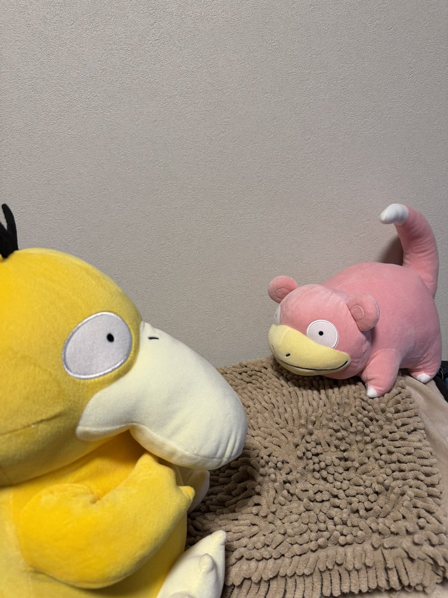 washer_86's tweet photo. 無事ヤドンが増えて嬉しいコダック https://t.co/TzktEpqhQS
