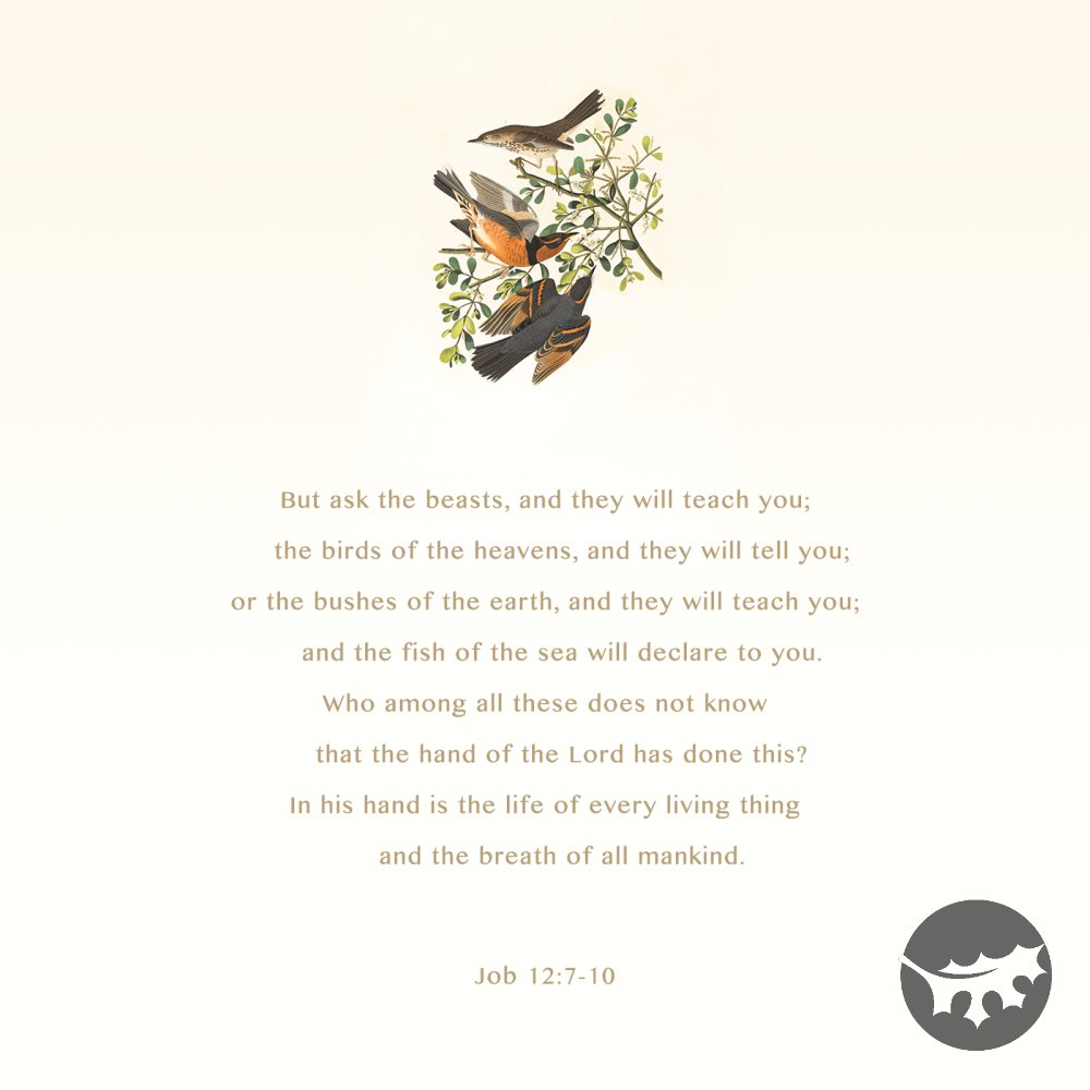 OakTreeChurch's tweet photo. https://t.co/0iilglYXNL