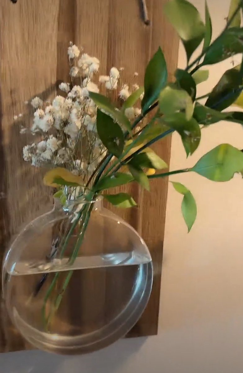 nirvana_is_here's tweet photo. さっきの直播でシャオジュンくんが育ててる植物を見せてくれたんだけど思ったよりたくさんあってビックリ 盆栽とか好きそう https://t.co/mvBRf1lm1y