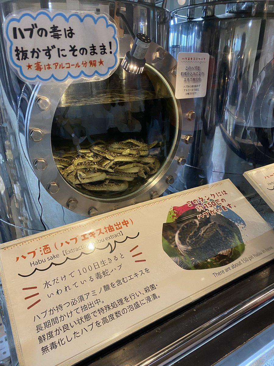 SleepdeeplyGG's tweet photo. おきなわワールドにハブ酒の酒造所があるんだけど、衝撃的すぎる笑 https://t.co/AbMJrXZyKk