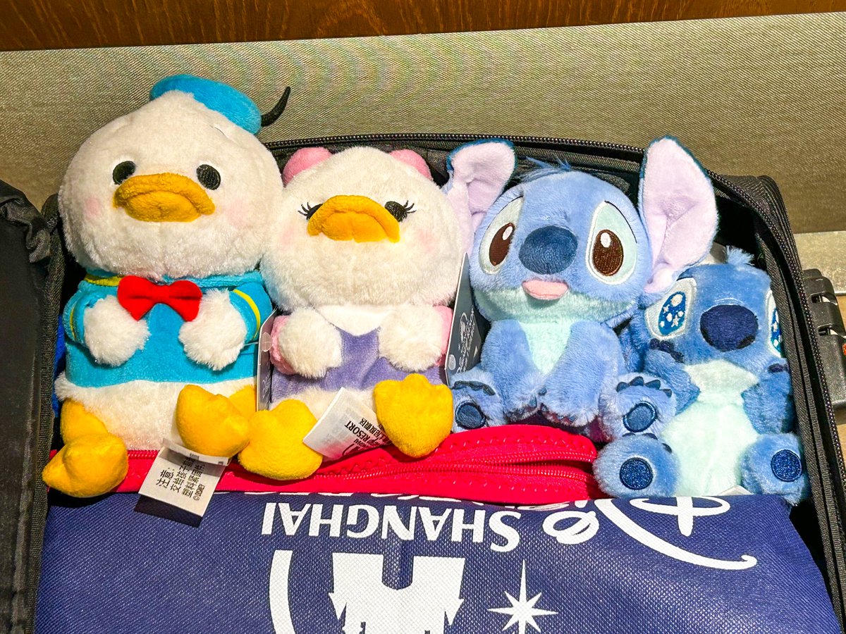 ruff626's tweet photo. かわいい #上海ディズニー #SHDL https://t.co/XFX303hjRV