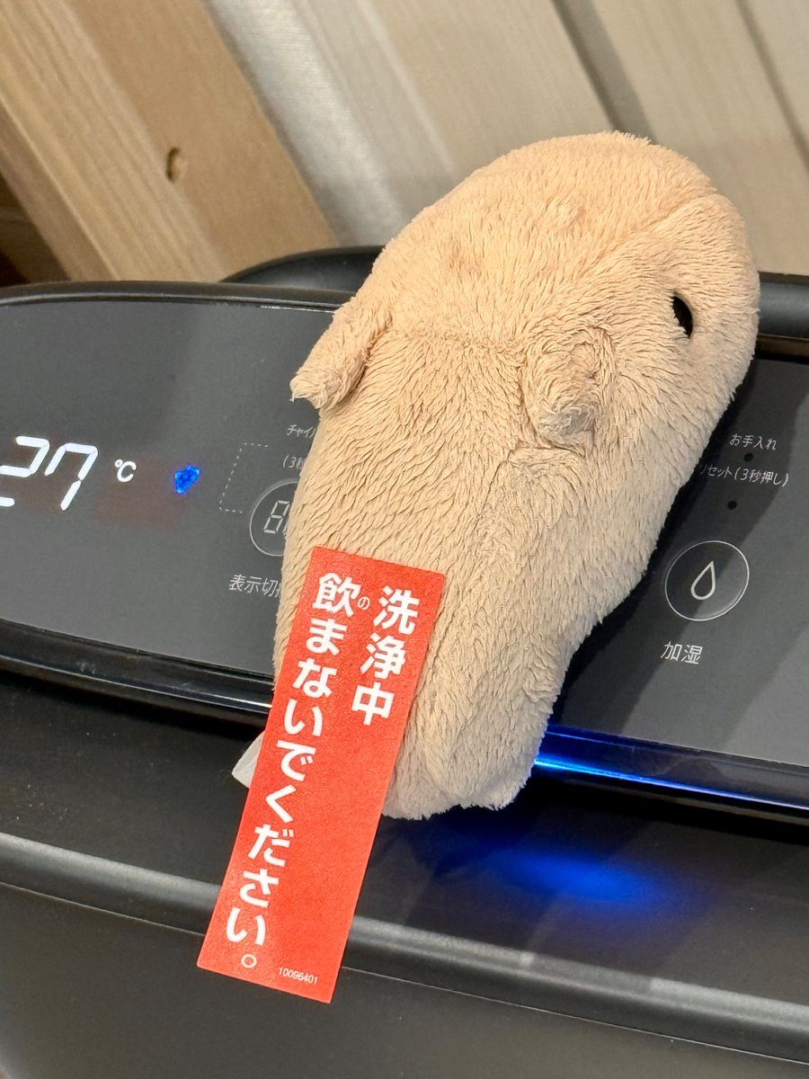 hiroba_studio's tweet photo. フフフノフーン♪
洗浄中なのサッ✨ https://t.co/HPdfxzzEY7
