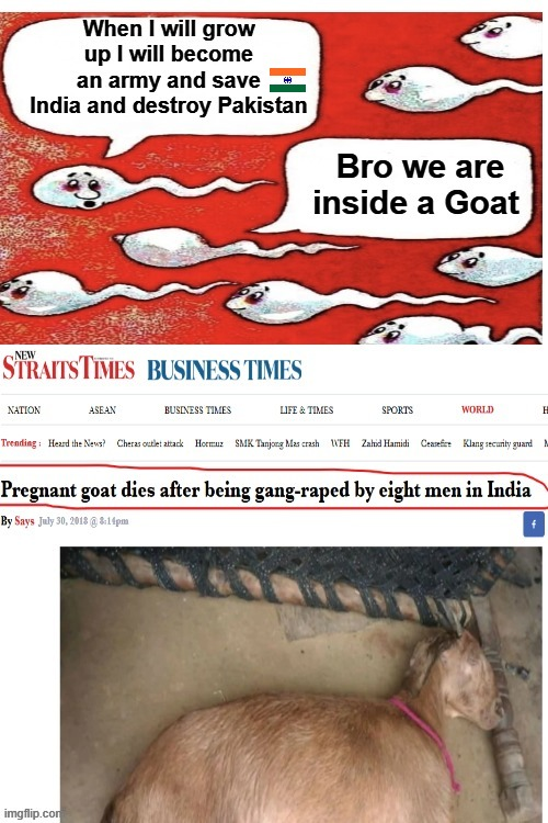 apotermis's tweet photo. @pubity Indians are starting to make out with a goat. No wonder their fertility rate declined. https://t.co/770Mrfv7lo