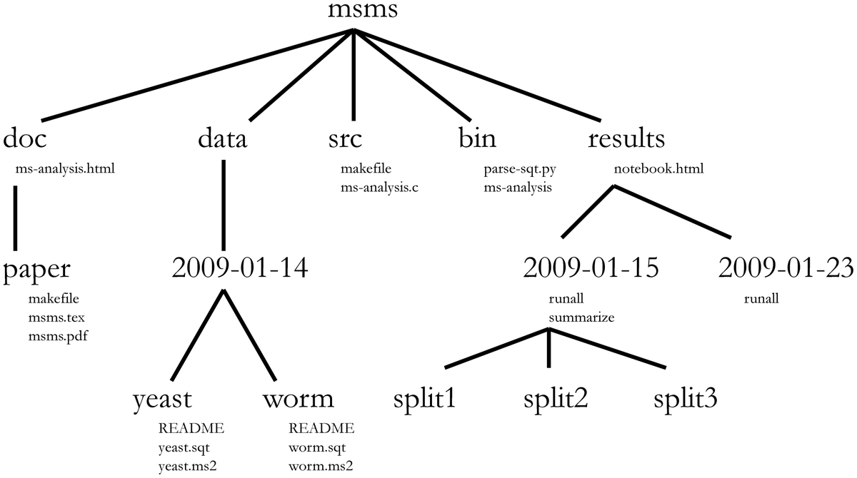 tangming2005's tweet photo. 5 papers all computational biologists should read 🧵

1. A Quick Guide to Organizing Computational Biology Projects
https://t.co/wSvnEKPa6i https://t.co/p2A6erG0PJ