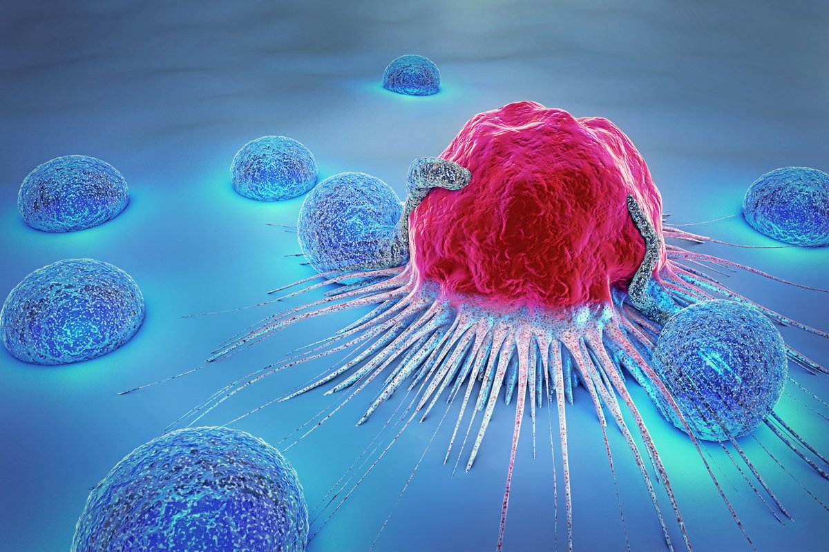 COVID19_disease's tweet photo. 🚨 BREAKING: 

Waterloo scientists Dr. Brian Ingalls, Dr. Sara Sadr, and Dr. Marc Aucoin have engineered “tumor-eating” bacteria that can invade and destroy cancer from within.

🧬 A potential breakthrough in cancer treatment research. https://t.co/d0Y0f0zlQ5