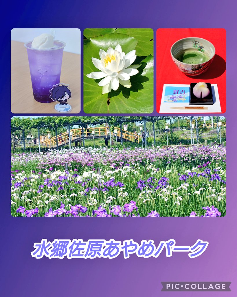 Aoi_8121's tweet photo. あやめと紫陽花とグルメを楽しみに
県内日帰り旅行してきました✌

ベレー帽：@otohato_adumaya
二部式浴衣：@Wamonoya_Kaya
コルセット：@abilletage
羽織紐：@HandmadeUnknown
靴下：@BleuBleuet_inc https://t.co/x3mnIjxATU