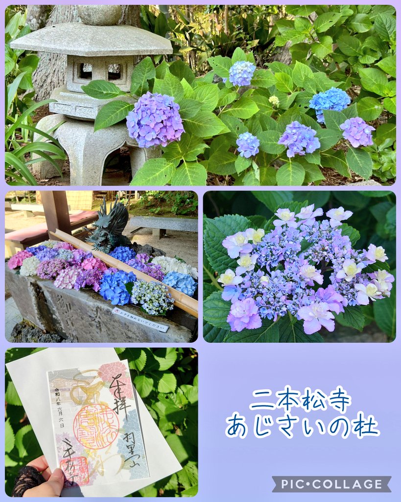 Aoi_8121's tweet photo. あやめと紫陽花とグルメを楽しみに
県内日帰り旅行してきました✌

ベレー帽：@otohato_adumaya
二部式浴衣：@Wamonoya_Kaya
コルセット：@abilletage
羽織紐：@HandmadeUnknown
靴下：@BleuBleuet_inc https://t.co/x3mnIjxATU