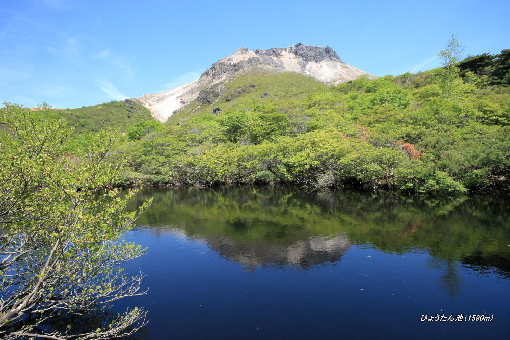 mt_qt's tweet photo. 6/1　那須岳縦走２日目　旅の終わり

遠回りだけど御鉢巡りを済ませ下山開始。巨大なロープウェイを見やりつつ茶臼岳を下り、牛ヶ首、姥ヶ平を経て沼ッ原を目指します。自分が最も好きな新緑に包まれる、ひょうたん池の瑞々しい光景は素晴らしい。
歩き応え満点！那須岳を大いに満喫した二日間でした！ https://t.co/ZPMToci4oK