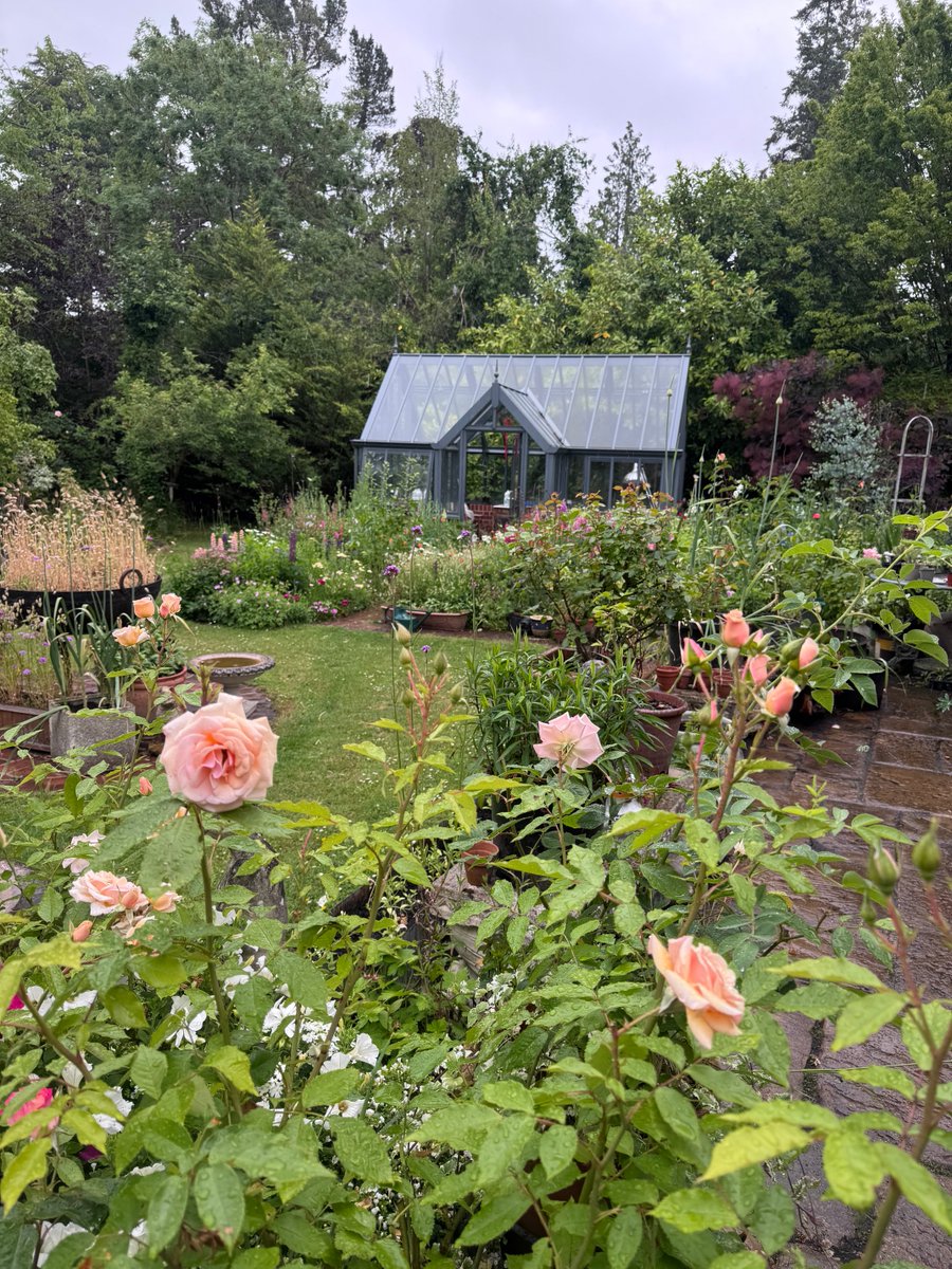 Rain and more rain! We've had the odd bright spell but not very