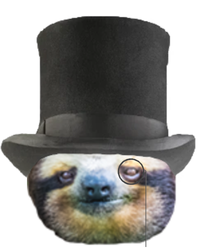 LordSlothyTheFirst tweet media