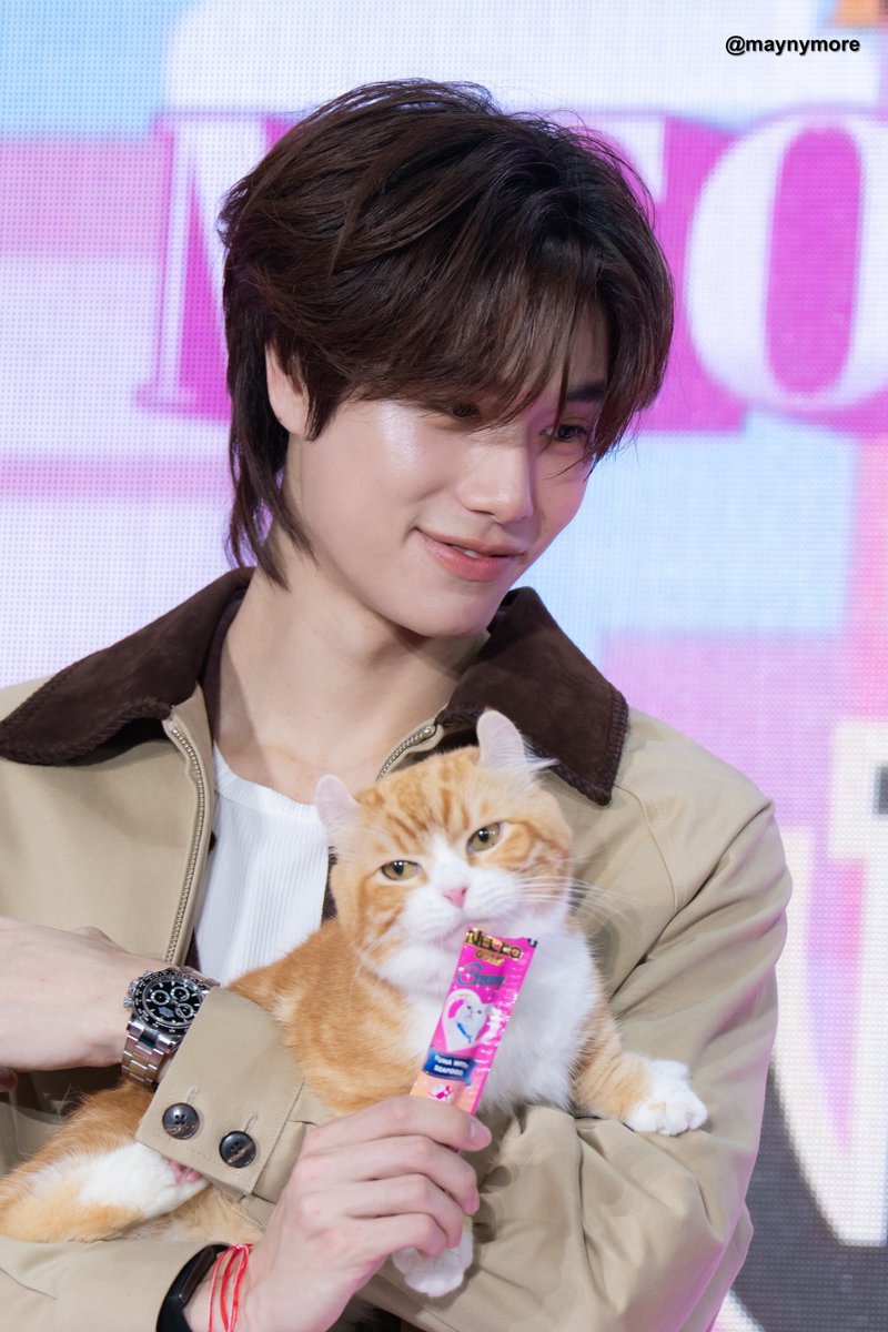 maynymore's tweet photo. รูปนี้มีแมวกี่ตัว😸😸

PHUWIN PERMPOON NEKKO

#NekkoxPhuwinPermpoon
#phuwintang https://t.co/O7D0GgoHc9