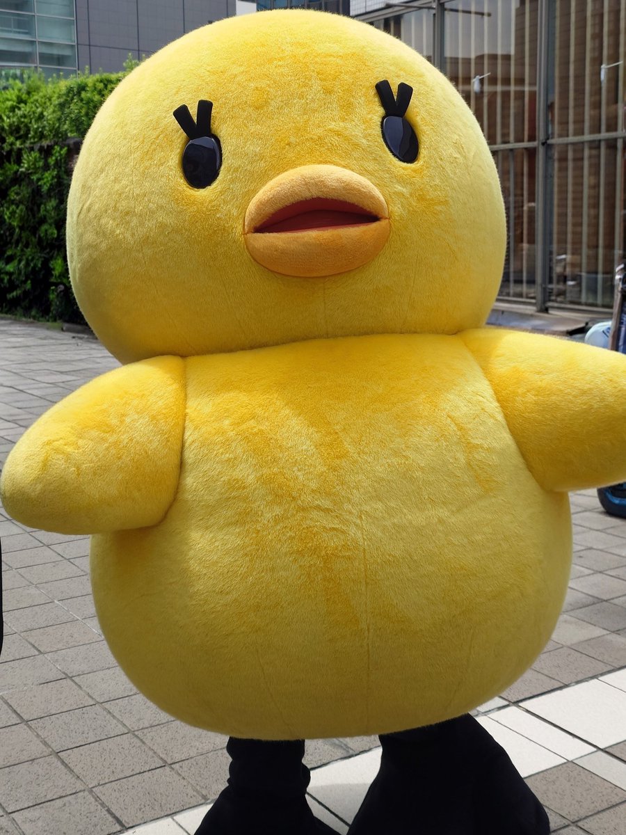 Blue_Feather17's tweet photo. ピヨちゃんずっと見てられる
可愛い😳 https://t.co/7WcFl8qmXr