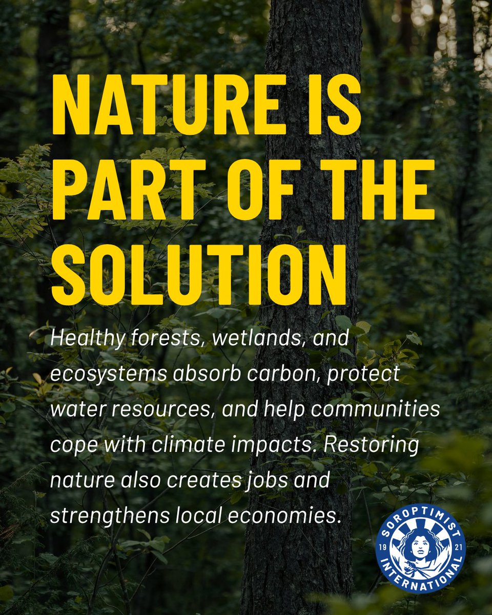 SoroptiTweet's tweet photo. For World Environment Day 2026, Ulla Elisabeth Madsen, SI Advocacy Advisor Environment, reflects on climate action, international responsibility, and the role of women as agents of change.

Read the full blog: https://t.co/36zlz9P9OL

#NowForClimate #WorldEnvironmentDay https://t.co/8mTWps3zOB