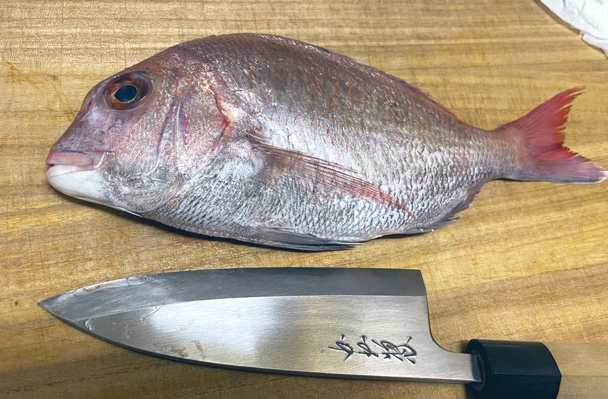 tkSoftwareCat's tweet photo. 休日なので

🐟真鯛のカルパ
🐟アラ味噌汁
🐟磯ツブ貝の煮付け

さ、美味しくできたかな〜ﾜｸﾜｸ https://t.co/4RXkOv6eWS