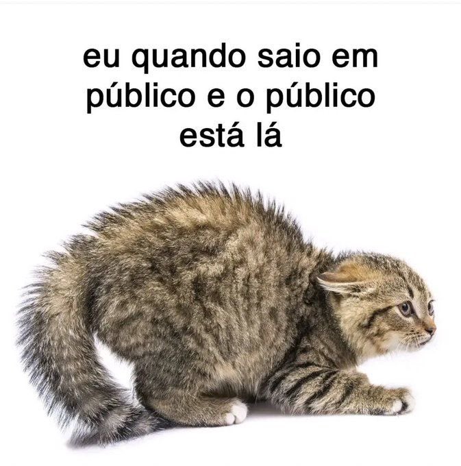 shitpostverdade's tweet photo. https://t.co/rcyeF2VtMc