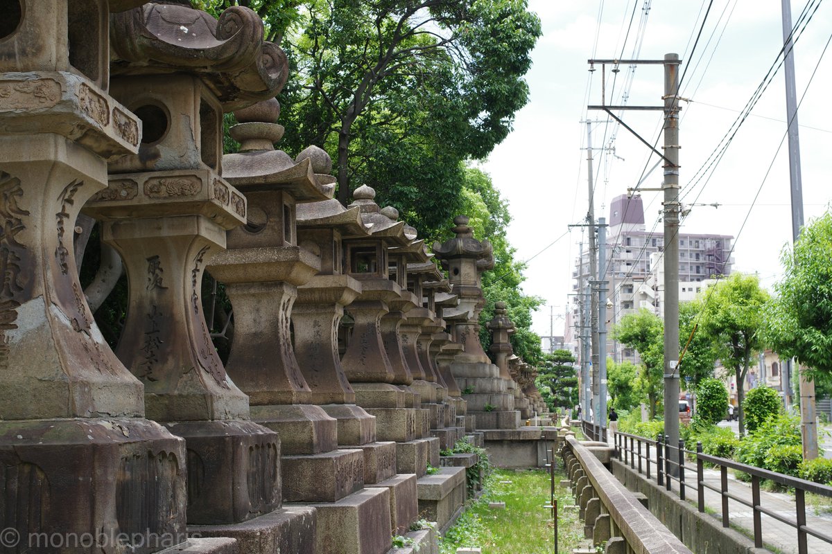 Monoblepharis's tweet photo. 住吉大社
PENTAX K-3 Mark III、HD PENTAX-FA 31mmF1.8 Limited https://t.co/x4LDp6Ed8d