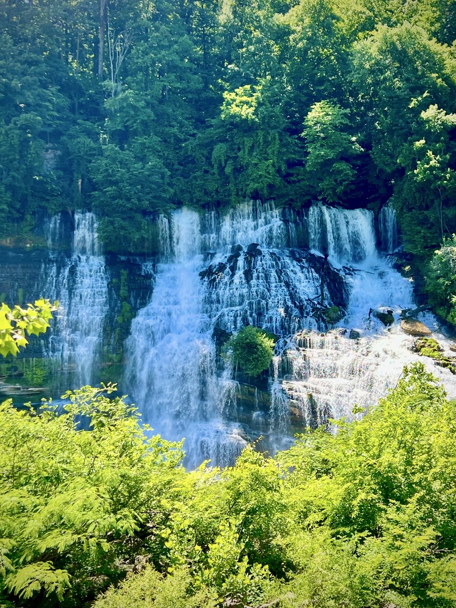 vanessalovesben's tweet photo. My favorite Tennessee waterfall so far 🤩 https://t.co/9aaLaDAImY