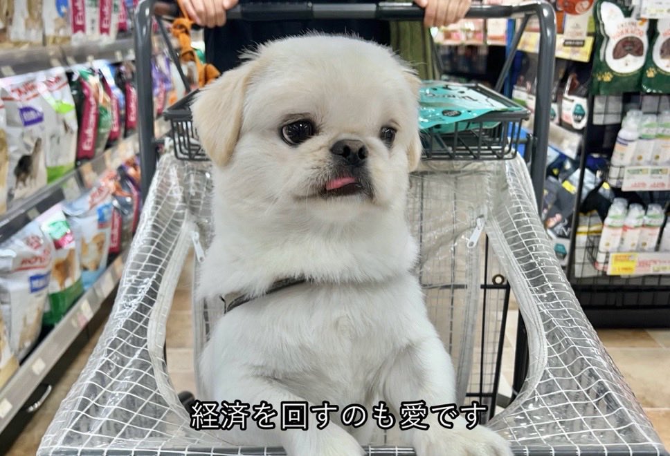 uomonga's tweet photo. 飲酒して目が覚めたら高輪ゲートウェイなんて知らん所に居るんだけれどドッキリでは無いなと冷静になってゆるりと帰宅します。 https://t.co/WpVTM2nr7Q