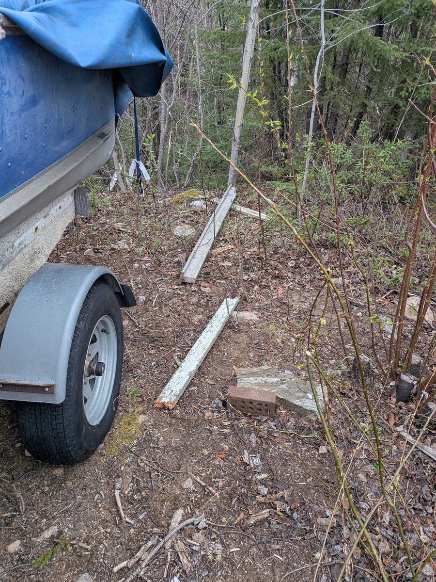 Delaye5's tweet photo. Part 3 : and tried to push it back, but the bear kept coming. I threw the tricycle at it, grabbed a six-foot 2x4 and advanced on it, holding it like a spear while screaming. The whole standoff lasted 2 to 4 minutes. I yelled so hard I completely lost my voice that afternoon. https://t.co/UcSbF4a34F