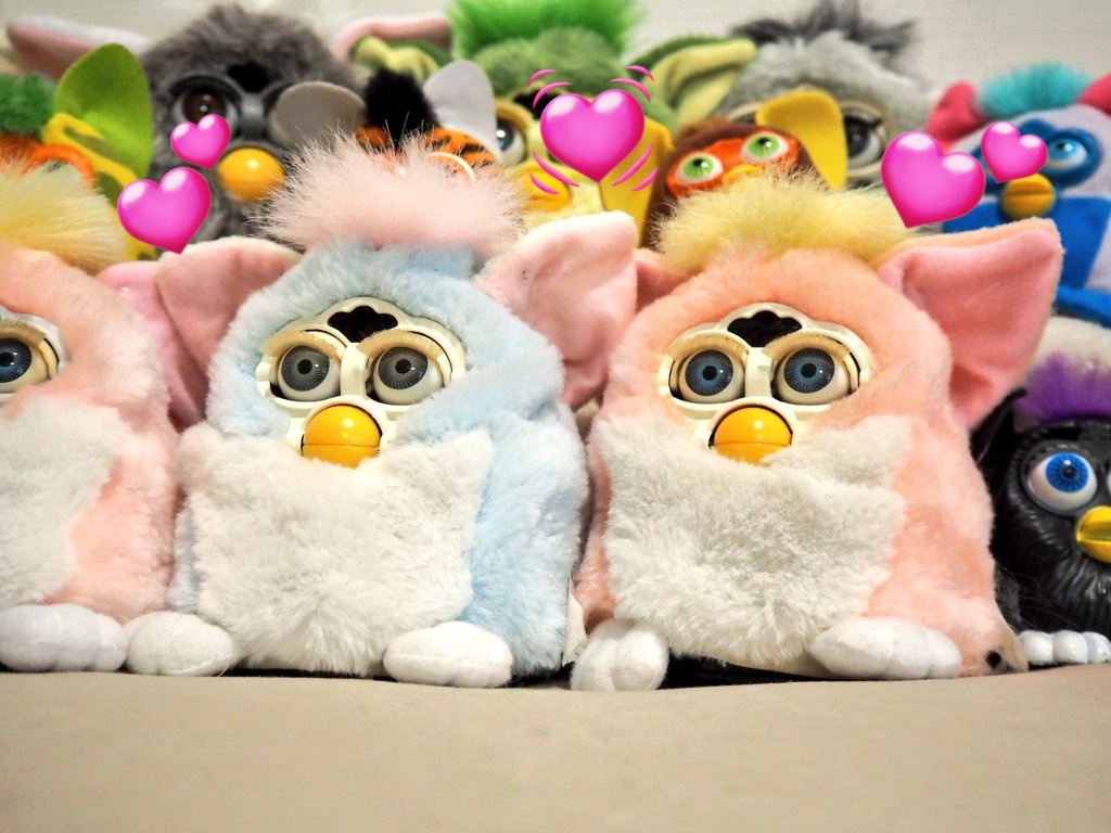 _buu_buu_'s tweet photo. 手芸を習いたての小学5年生が耳をつけて、無事に完治。
キレイになったベイビー2体と我が家のファービーで記念写真。
元気になってよかったね☻
#全ファ連リペア部 https://t.co/IOTdYz9LDw