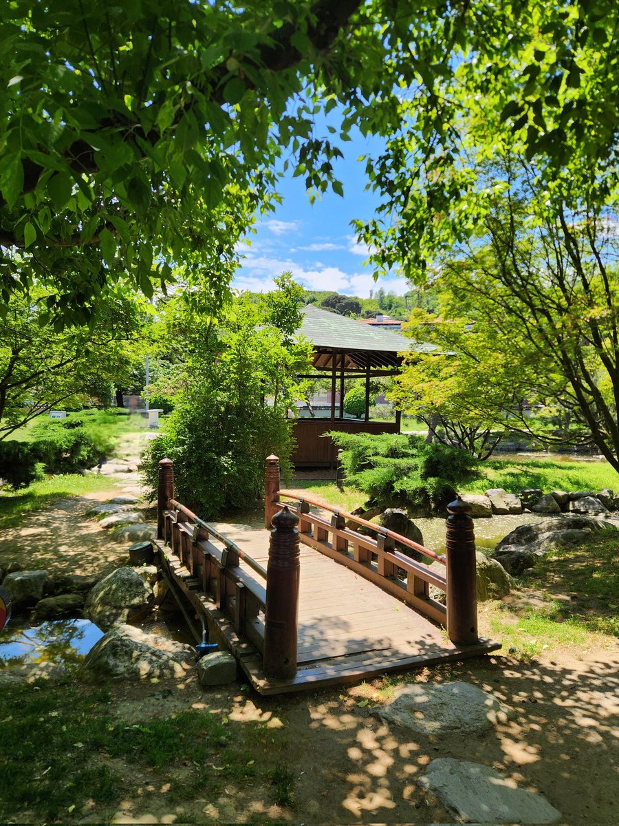 iokanu's tweet photo. Baltalimanı Japanese Garden is one of the important symbols of Türkiye🇹🇷-Japan🇯🇵 friendship.

The garden also attracts visitors as a pleasant spot to take a break in the city.🍃

📍Istanbul https://t.co/ygRCdso0xS