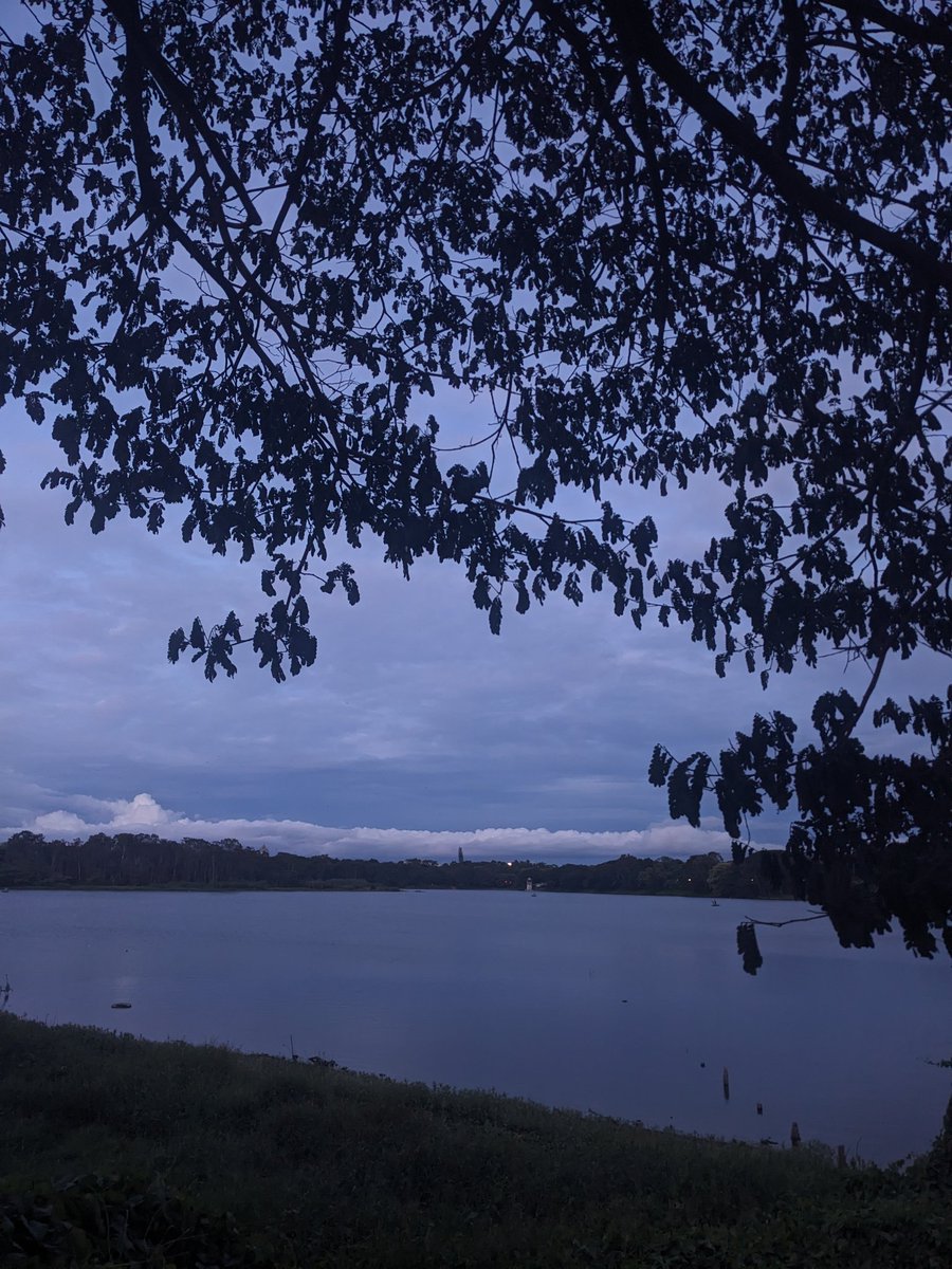 thinkbigh's tweet photo. Two Lakes, Two Sides! #streetsofmysuru

#mysuru #mysore #kukkarahallilake https://t.co/7oFtjy4yuY