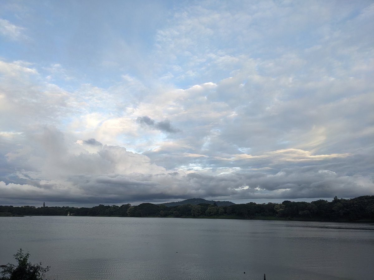 thinkbigh's tweet photo. Two Lakes, Two Sides! #streetsofmysuru

#mysuru #mysore #kukkarahallilake https://t.co/7oFtjy4yuY