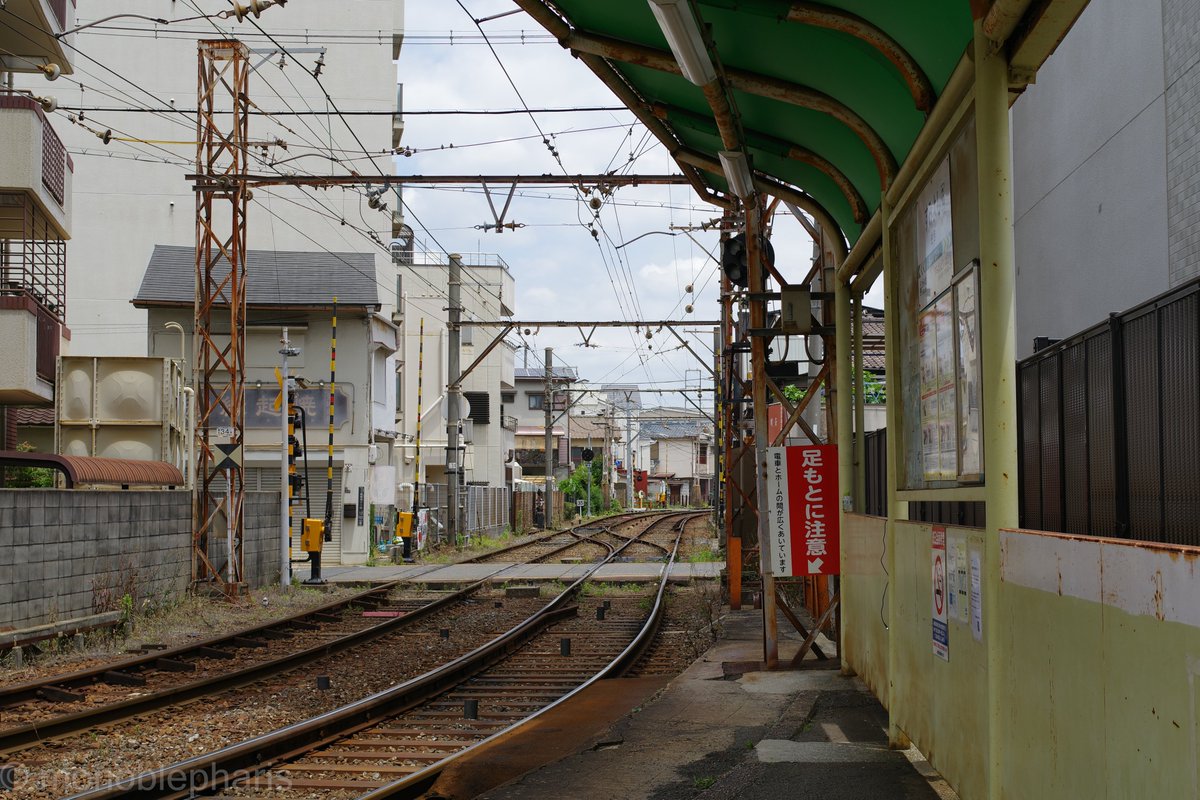 Monoblepharis's tweet photo. 住吉周辺
PENTAX K-3 Mark III、HD PENTAX-FA 31mmF1.8 Limited https://t.co/ORGt2uPTdo