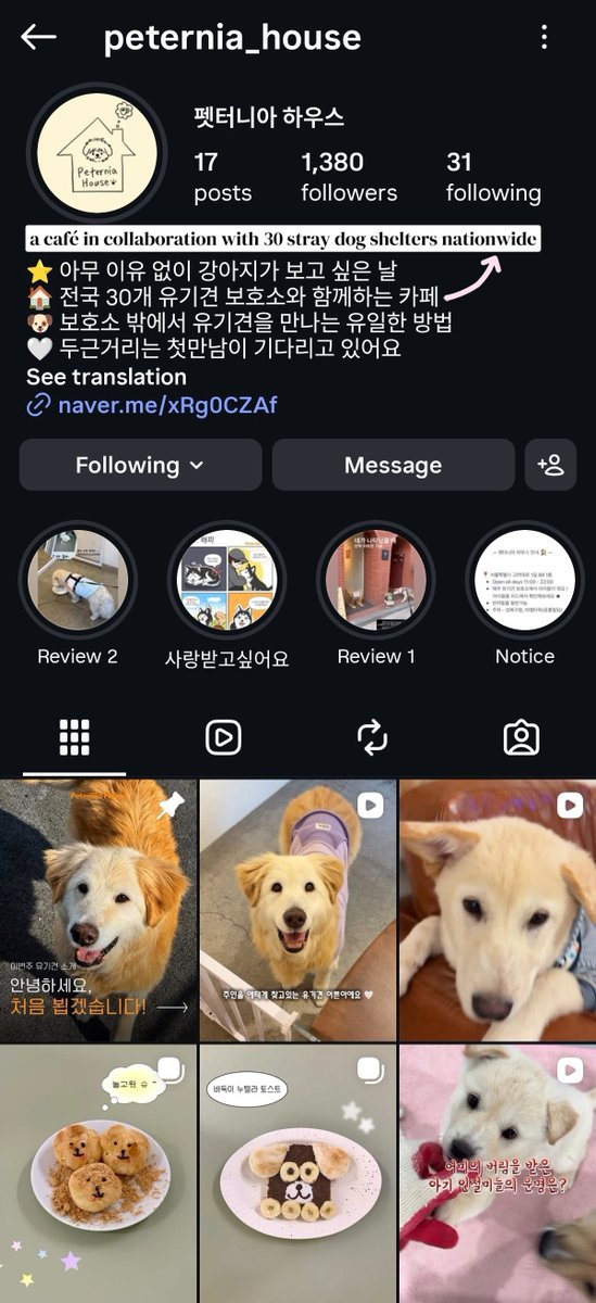 77_10Y's tweet photo. some heartwarming stories about Kevin🌙✨💛
during Trigger era,staff shared that kev helped rescue kittens with them
kev also visited a shelter as a volunteer, caring for &amp;playing with the kittens
his handmade🍪 were also distributed at a cafe partnered with stray dog shelters https://t.co/UMg4llcUDR