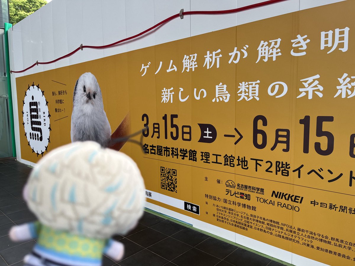 rainer0201's tweet photo. #これを見た人は無言で去年の6月の画像を貼る https://t.co/zO06qooG0I