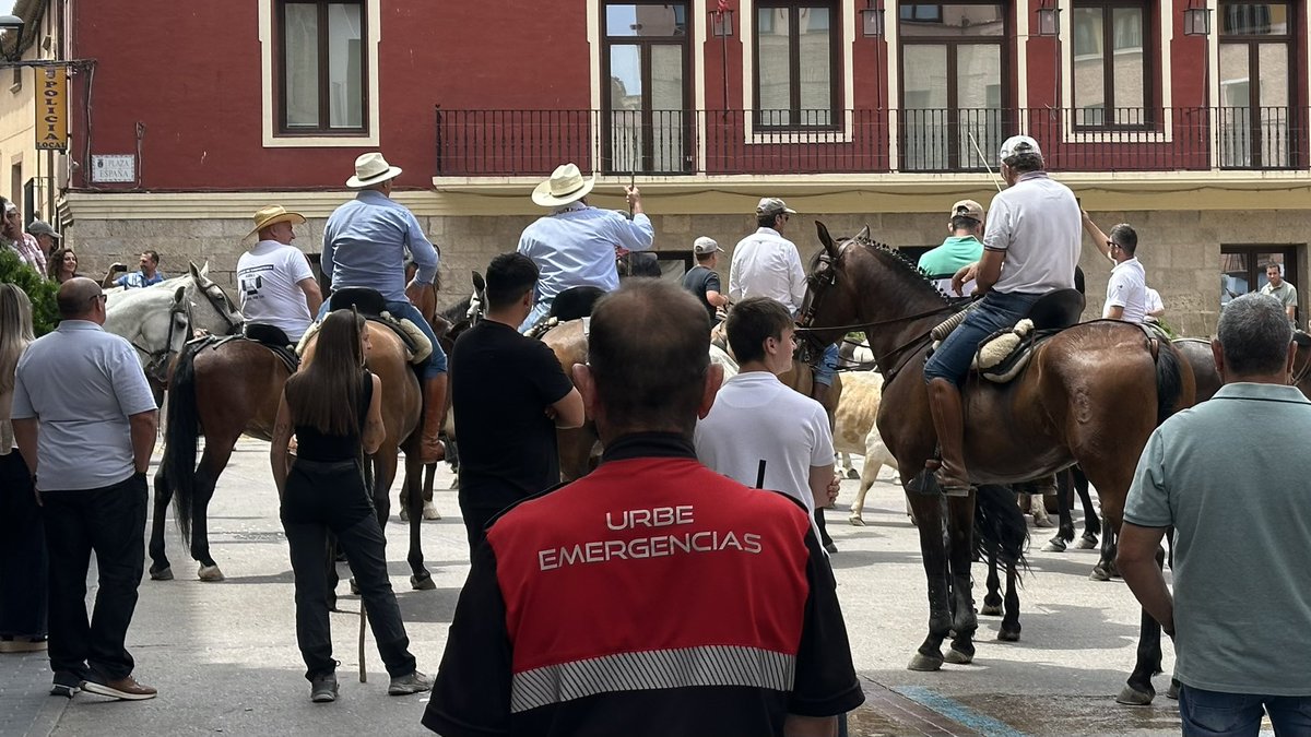 urbe_org's tweet photo. Hoy, voluntarios de Zaragoza y Mallén han realizado un servicio preventivo durante la Trashumancia de Mallén 2026, realizando labores de balizamiento del recorrido y retirada de elementos de riesgo para garantizar la seguridad de participantes y espectadores. https://t.co/MFIn8jH7Iv