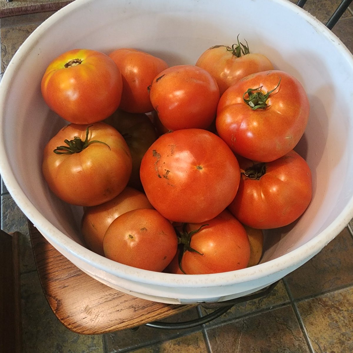 SchexJny's tweet photo. Tomato soup loading......please wait. 
#GardenFresh #HomegrownTomatoes #GardenToTable
#GrilledCheeseGetReady https://t.co/uVKZNQySZu