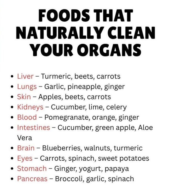 dotheworknoww's tweet photo. Foods that naturally clear your organs. https://t.co/9JQpkHu16g