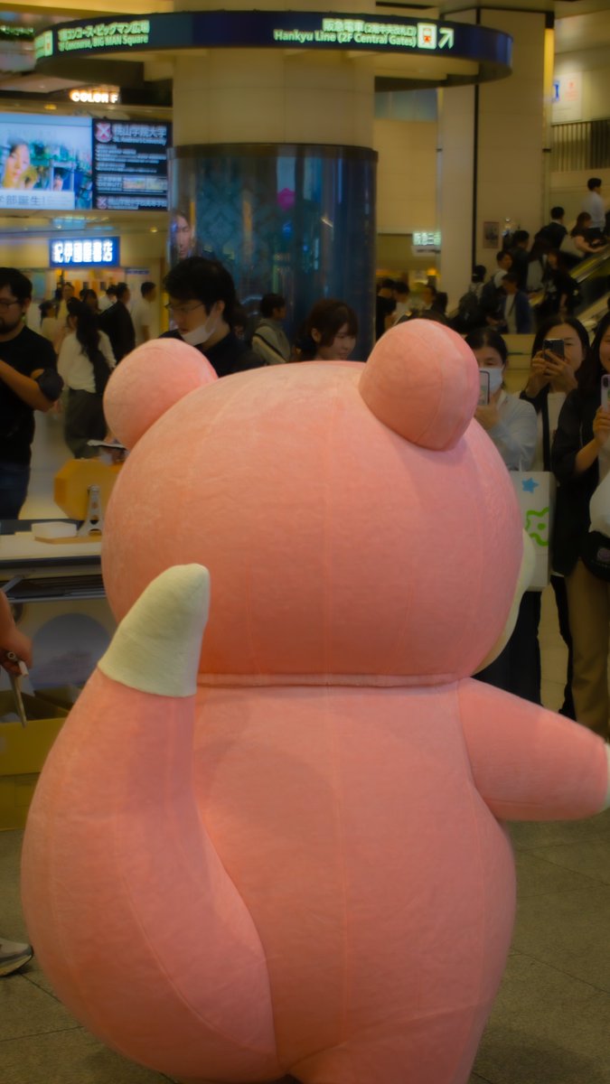 しっぽを見せてくれるヤドンちゃん