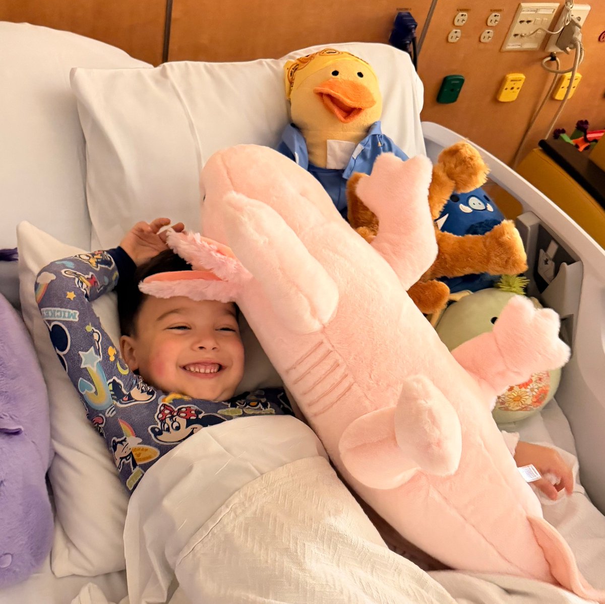 TeamNEGU's tweet photo. 💛 We have some incredible NEGU Kids who could use a little extra encouragement today! Meet Porter, Kayla, and Violet—three brave warriors who are each facing the challenges of childhood cancer with amazing strength and courage. Drop a message of support! #NEGU https://t.co/JINWiOzghg