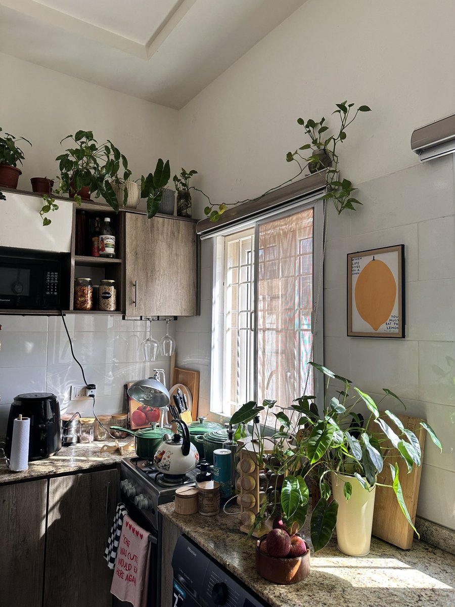 ene_ijato's tweet photo. At home, moisturized, eating good &amp; tending to my plants. https://t.co/A0u7lrjkJB