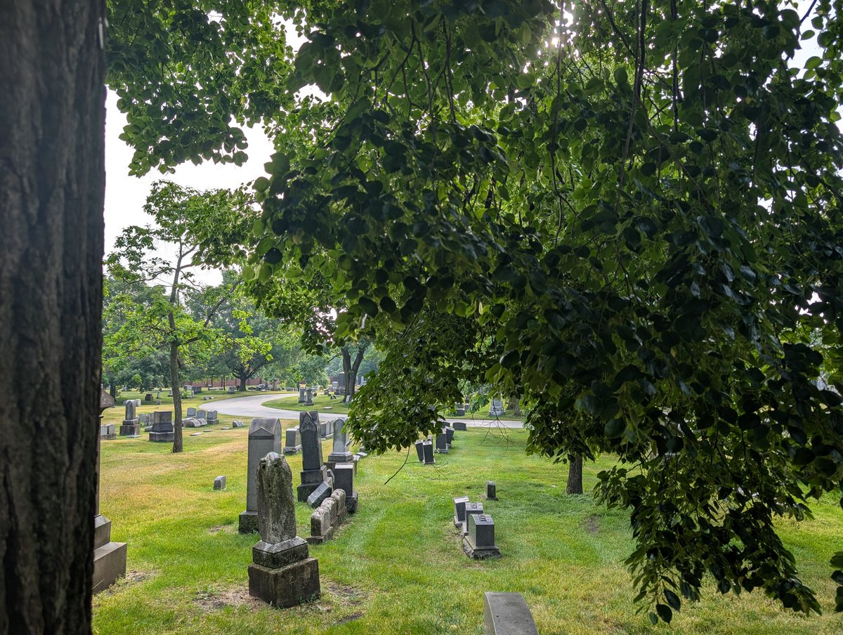 bryadthoughts's tweet photo. Cool, humid, dreary walk in Lakeview https://t.co/RraXwNvPIp