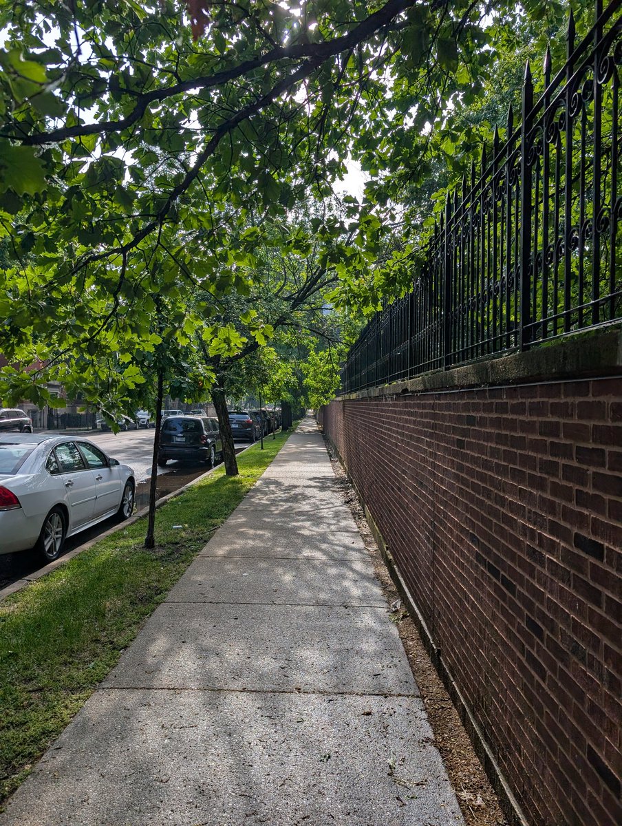 bryadthoughts's tweet photo. Cool, humid, dreary walk in Lakeview https://t.co/RraXwNvPIp