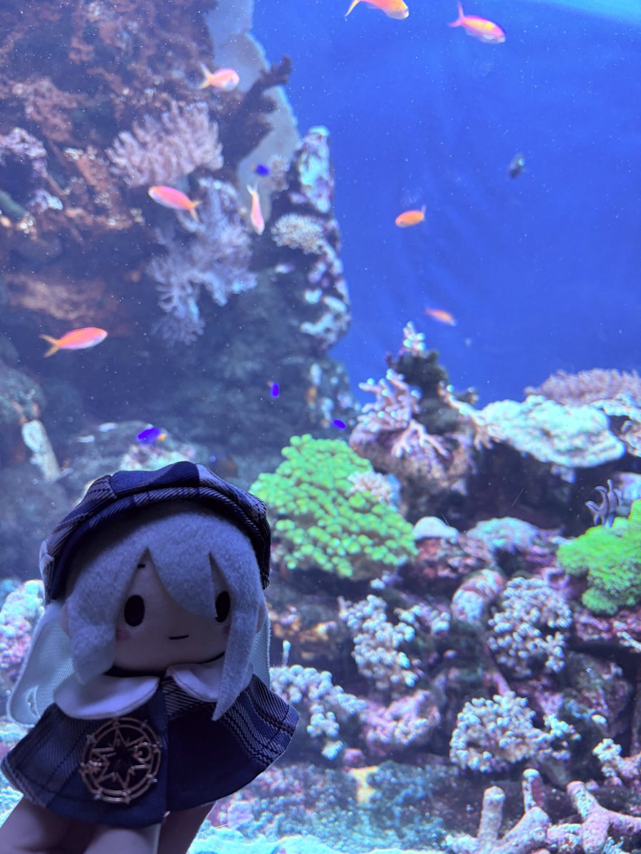 Hydrangea1524's tweet photo. 池袋行ってきたー⸜(*ˊᗜˋ*)⸝⋆ https://t.co/uBkvLahIYf